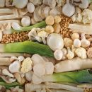 قارچ و سبزیجات سفید بخورید، لاغر شوید