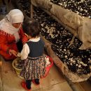اَبَر زنان گیلان، خستگی‌ناپذیر تا بی‌نهایت