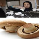 پرورش قارچ گامی دیگر در مسیر مهارت‌آموزی دانش آموزان