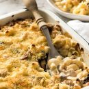 آموزش آشپزی با قارچ - طرز تهیه کاسرول مرغ و قارچ