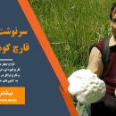 سرنوشت نامعلوم قارچ کوهی ایران