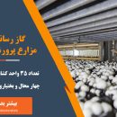 گاز رسانی به مزارع پرورش قارچ