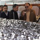 بهره‌برداری از نخستین طرح پرورش قارچ