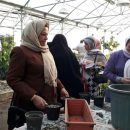 کلاس های آموزشی گل و گیاه