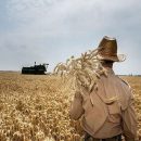 ١٧٠ میلیارد ریال تسهیلات اشتغال‌زایی کشاورزی