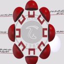 عملکرد انجمن صنفی پرورش‌دهندگان قارچ در سال ۹۸