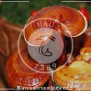 بررسی ترکیبات فعال بیولوژیکی گانودرما لوسیدوم
