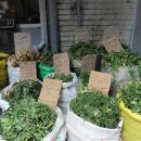 بازار داغ فروش گیاهان بهاری انقراض گونه های گیاهی والک و قارچ کوهی، سبزی های کوهی