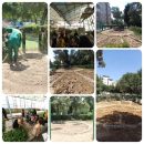 آموزش پرورش قارچ خوراکی در دولت آباد