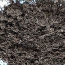 نمونه برداری از کمپوست و خاک پوششی