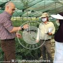 باغ گیاه‌شناسی گلستان تا پایان امسال به بهره‌برداری می‌رسد