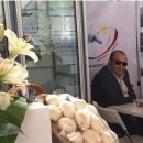 کمپوست قارچ برای حفظ محيط زيست