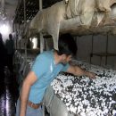 بهره برداری از ۴۰ طرح اشتغالزایی در ورزنه
