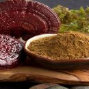 تاثیر قارچ گانودرما بر سلامتی