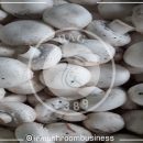 پرورش‌دهندگان قارچ در لرستان تسهیلات کم‌بهره دریافت می‌کنند