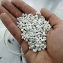 بهداشت و اهمیت آزمایشگاه های تولید بذر قارچ