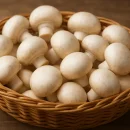 اخبار های استان کردستان