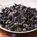 آشنایی کامل با قارچ گوش ابری + خواص دارویی