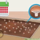 جدول زمان بندی رویش قارچ خوراکی هر دوره پرورش قارچ چند روز است