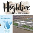 کارخانه هایلاین ماشرومز (Highline Mushrooms)، به عنوان بزرگترین پرورش دهنده قارچ ارگانیک جهان با چالش تامین آب روبرو است