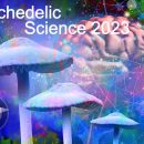Psychedelic Science 2023 کنفرانس روان گردان ها با محوریت مجیک ماشروم