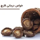 فواید درمانی و خواص قارچ شیتاکه برای سلامتی