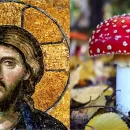 آیا عیسی مسیح یک قارچ توهم زا بود؟ عیسی مسیح یک قارچ توهم زا