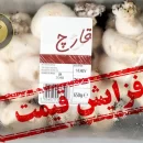 علت افزایش قیمت قارچ در تابستان چیست؟
