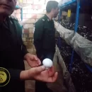 بازدید از پروژه تولید قارچ روستای میغان شاهرود