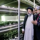 بازدید رئیس جمهور از مزرعه پرورش قارچ اورامان سبز واقع در روستای قلعه جی شهرستان سروآباد