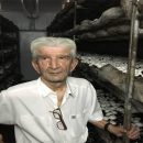 نخستین مزرعه پرورش قارچ ایران مهندس بهروز پیرایش