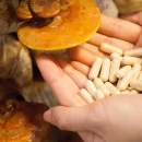قارچ های دارویی از نگاه دکتر منوچهر سلجوقیان