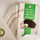 کتاب بستر رشد یافته