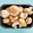 Mycelium hybrid in white button fungus میسیلیوم هیبرید در قارچ دکمه‌ای سفید