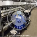 صندلی چرخدار قارچ چینی صندلی چرخدار قارچ چینی