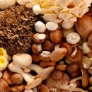 سلسله بندی قارچ ها و موجودات زنده
