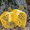 ارگاسم با بوی قارچ ارضای جنسی زنان ارضای جنسی با بوی قارچ بانوی محجبه