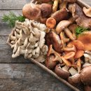 قارچ های خوراکی و دارویی پرمصرف