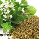 تاثیر آویشن گیاهی بر ماندگاری قارچ خوراکی