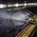 آبیاری سالن پرورش قارچ همه چیز درباره آبیاری سالن پرورش قارچ + نکات مهم