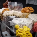 پرورش قارچ اگزوتیک سودآورتر از قارچ دکمه ای
