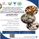 اولین رویداد فن بازار تخصصی صنعت قارچ کشور