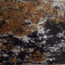کپک پلاستر قهوه ای (Brown plaster mould)