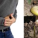 علائم و نشانه‌های مسمومیت با قارچ سمی