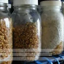 انواع اسپان قارچ با انواع اسپان قارچ انواع بذر قارچ آشنا شوید.