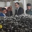 تولید قارچ در گوزل‌ دره