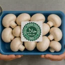 نشان گواهی حلال برای قارچ گواهی نشان استاندارد حلال برای مواد خوراکی