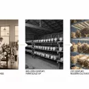 تاریخچه قارچ صدفی