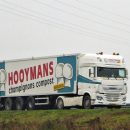 مراحل ساخت کمپوست در شرکت hooymans compost