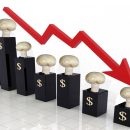 کاهش قیمت قارچ